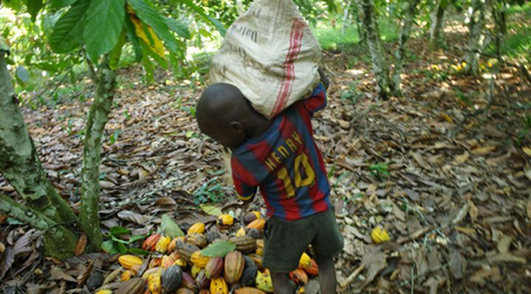 Lutte contre les pires formes du travail des enfants