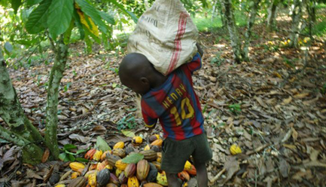Lutte contre les pires formes du travail des enfants